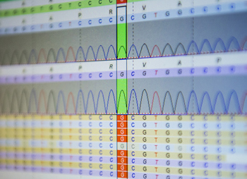 Konsequenzen eines genetischen Befundes