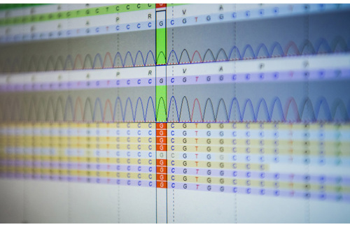 MVZ für Humangenetik Next-Gen Sequencing